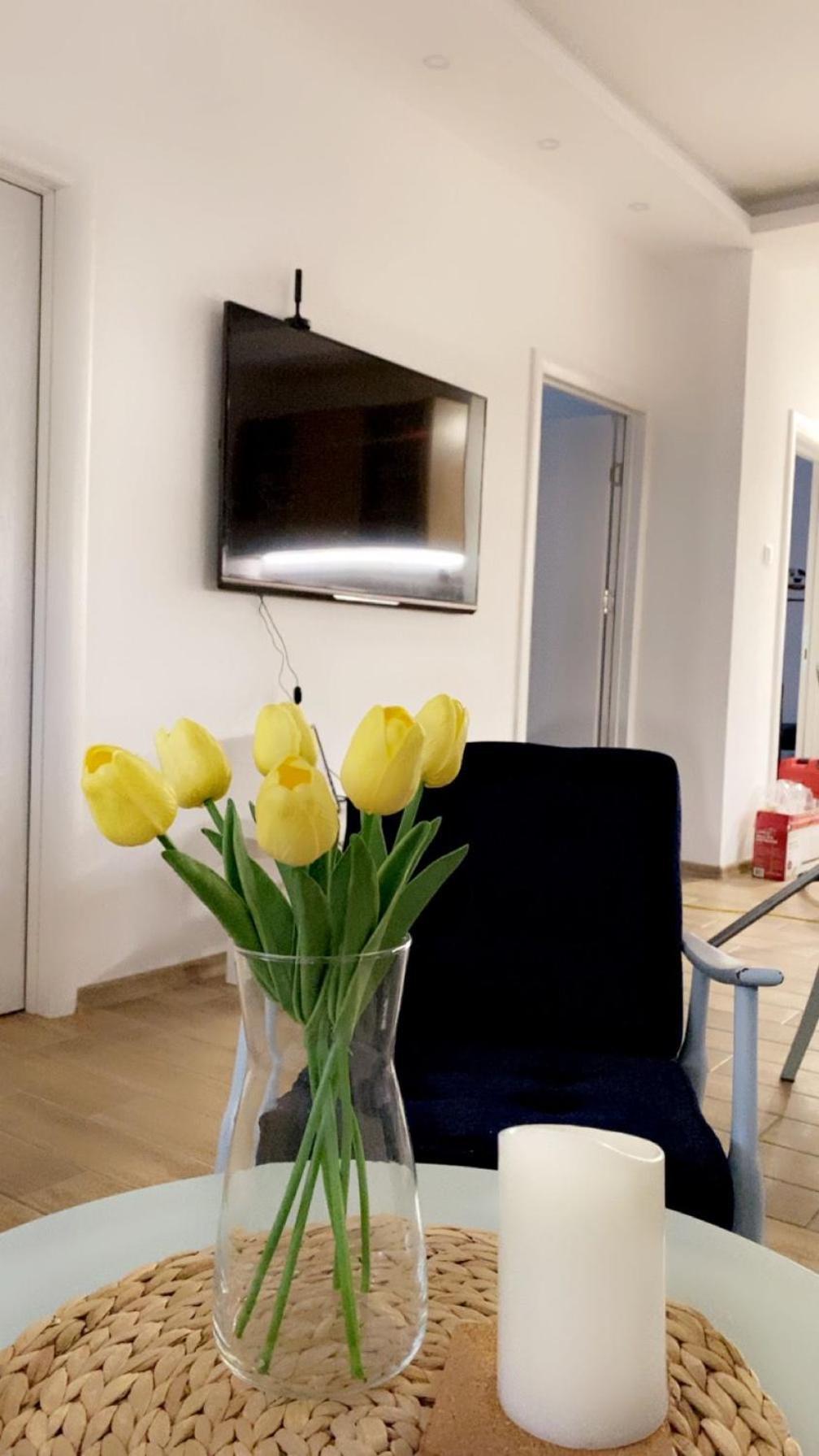 Vanja Apartman Vrsac Dış mekan fotoğraf