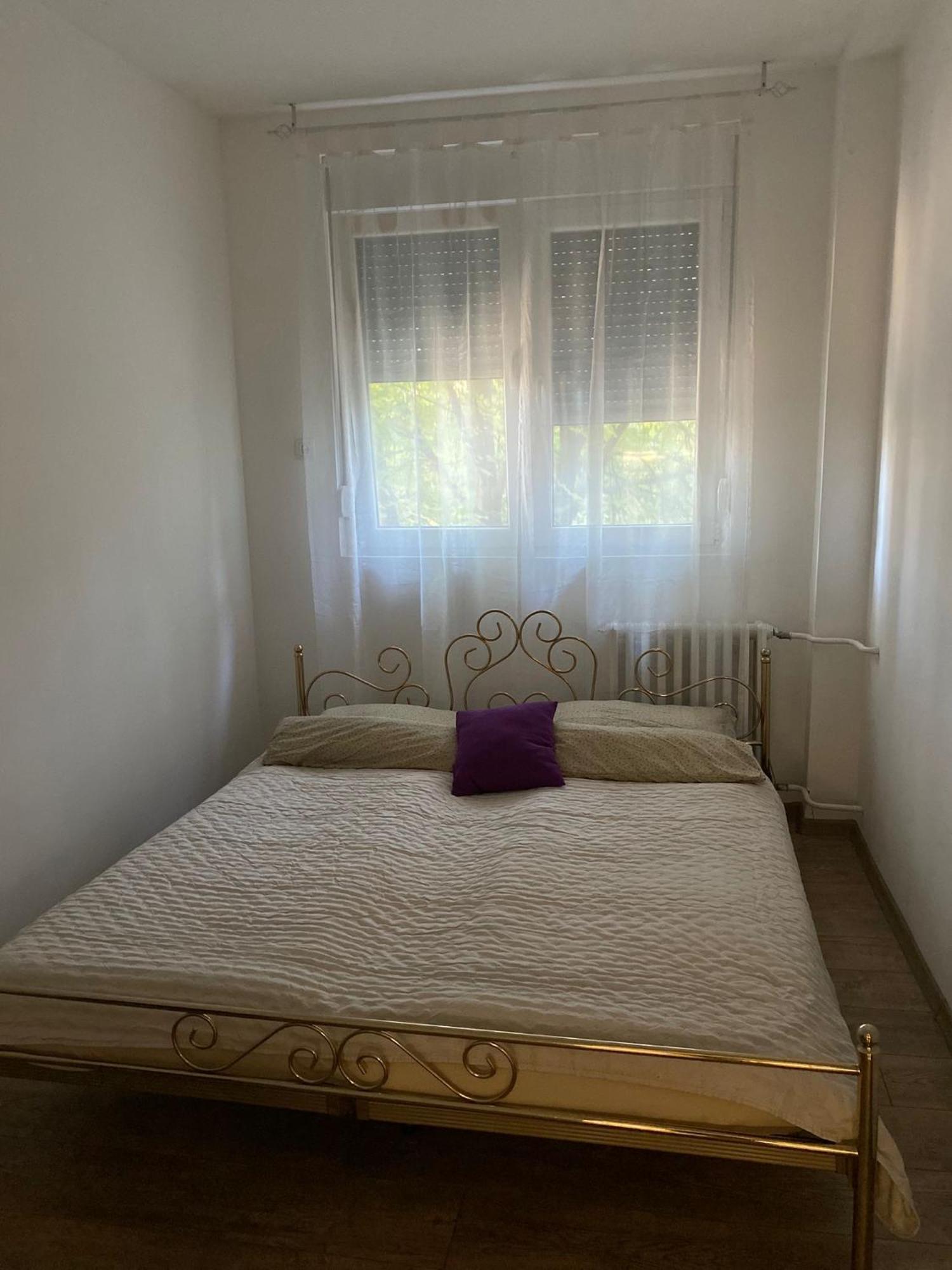 Vanja Apartman Vrsac Dış mekan fotoğraf