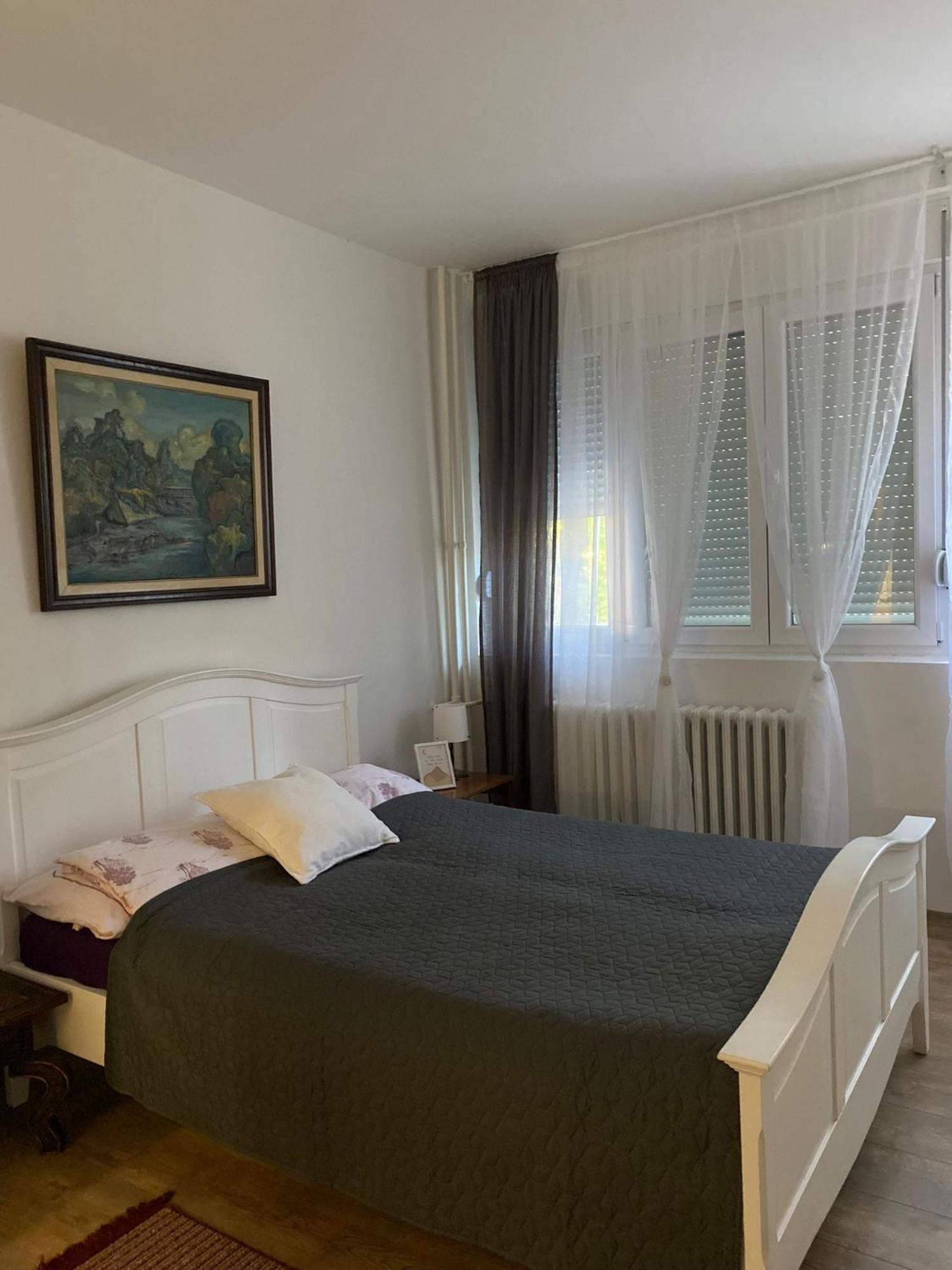 Vanja Apartman Vrsac Dış mekan fotoğraf