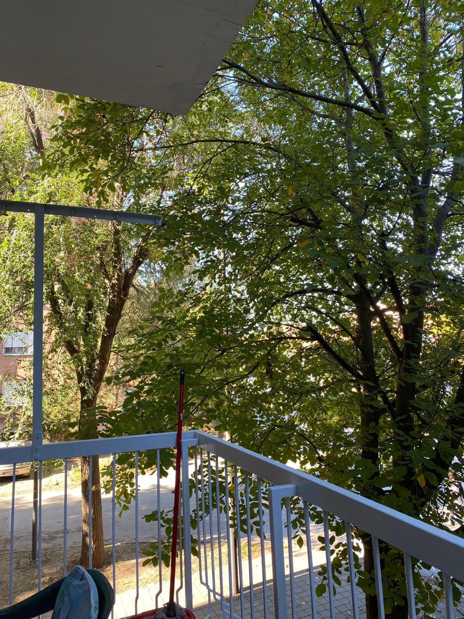 Vanja Apartman Vrsac Dış mekan fotoğraf